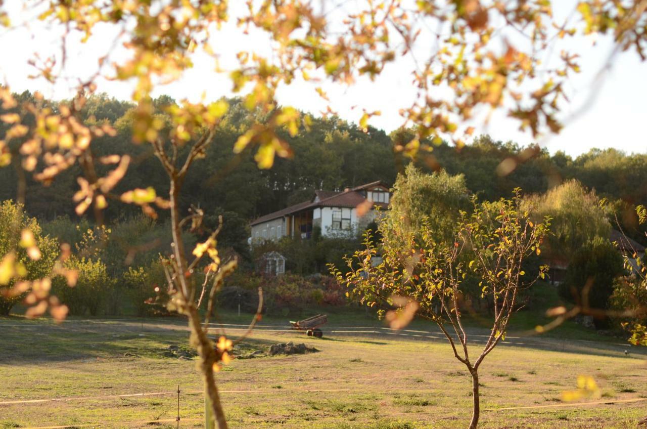 Torre Tanquian Eco Finca - Ribeira Sacra Panton Exterior photo